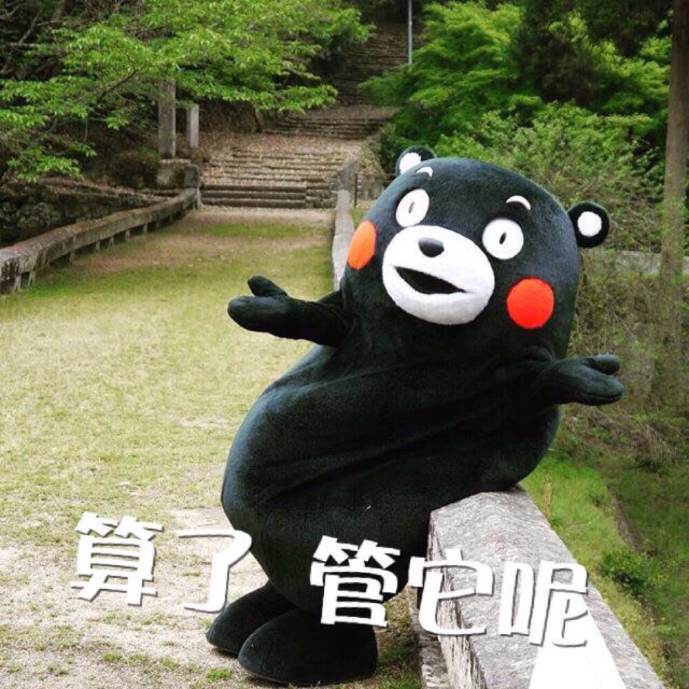 kumamon.jpg